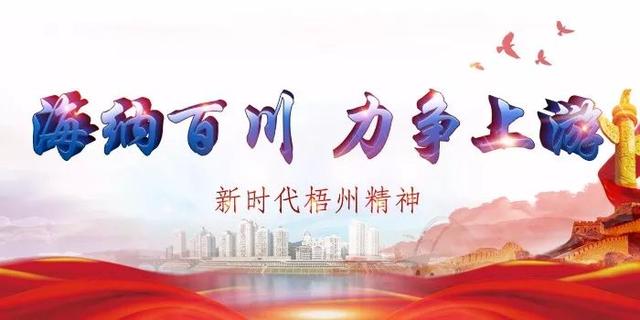 梧州市生活垃圾焚燒發(fā)電廠計(jì)劃明年完工，日處理垃圾可達(dá)2000噸